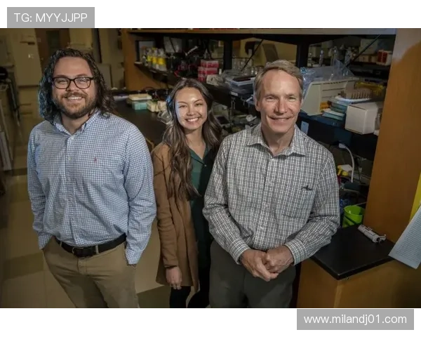 欧宝体育官网入口安全登录指南，帮助玩家避免账号安全风险